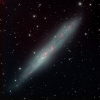 NGC 55 The Whale LRGBHa working