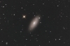 NGC 2841 Galaxy in Ursa Major Feb 2023 RAParker from NJ