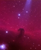 Horsehead Nebula IC 434 in Orion 2020-12-19 from NJ