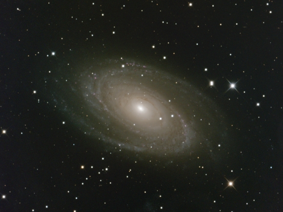 M81 NGC 3031 Spiral Galaxy in Ursa Major Feb 6 2024 RAP from NJ